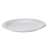 ASSIETTE BIODEGRADABLE CANNE A SUCRE XL 25PC