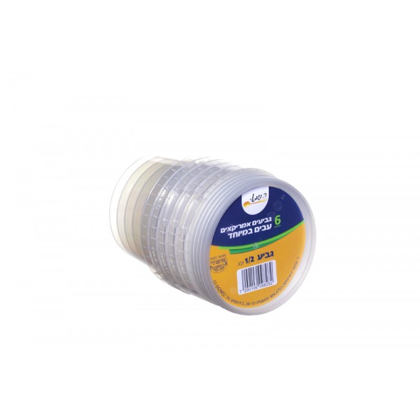 BOITES PLASTIQUE RONDE AMERICAINE 500ML - 6 PC