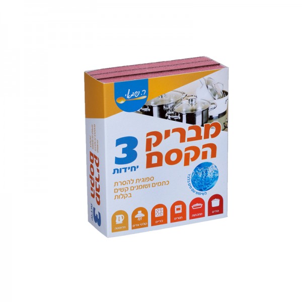 EPONGES SPECIALES INOX - 3PC