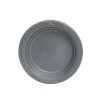 Assiette RONDE COULEUR ARGENT P.M 25P