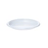 ASSIETTES GM PLASTIQUE REUTILISABLES - 100 PC